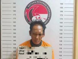 Gerebek Sarang Narkoba di Panai Hilir: Polisi Tangkap AR, Sabu 1,98 Gram Disita