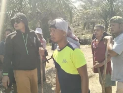 Diduga Kembali Terjadi Penganiayaan di Lahan Sawit Desa Sungai Apung, Satu Pekerja Alami Luka Serius