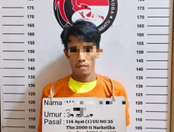 Penggerebekan Dini Hari di Lobusona, Satres Narkoba Labuhanbatu Sita 20 Paket Diduga Sabu, Pemasok Diburu