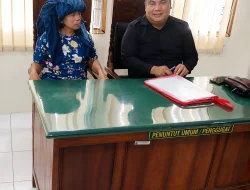 Ahli Waris Debitur Serang Balik BCA Finance dan Tokio Marine di PN Rantauprapat, Dugaan Klausul Asuransi Jadi Sorotan