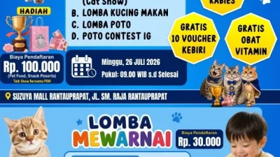 PDHI Sumut dan MD Clinic Siapkan Cat Festival Labuhanbatu 2026, Hadirkan Vaksin Rabies Gratis hingga Edukasi Pecinta Kucing