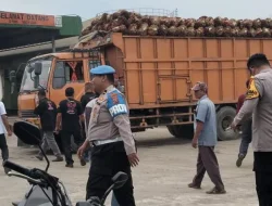 TBS Ditolak, Truk Diduga Blokade PMKS HSJ; Operasional Pabrik Sempat Lumpuh