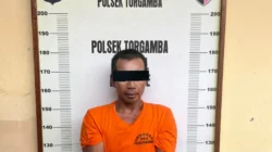 Laporan Warga Ditindaklanjuti, Polsek Torgamba Sita 21 Paket Diduga Sabu