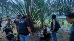 Operasi Gabungan Polres Labuhanbatu–BNN di Labura, Sabu 2,55 Gram Disita, Pondok Narkoba Dibakar