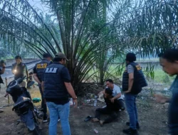 Operasi Gabungan Polres Labuhanbatu–BNN di Labura, Sabu 2,55 Gram Disita, Pondok Narkoba Dibakar